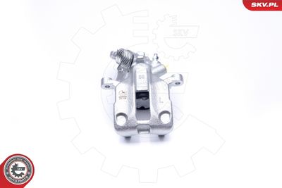 Brake Caliper 45SKV213