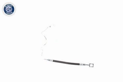 CONDUCTE FRANA VAICO V101904 8