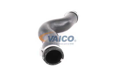 FURTUN EAR SUPRAALIMENTARE VAICO V401448 50