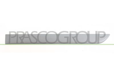 ELEMENTE DECORATIVE/PROTECTIE PORTIERA PRASCO OP0341464