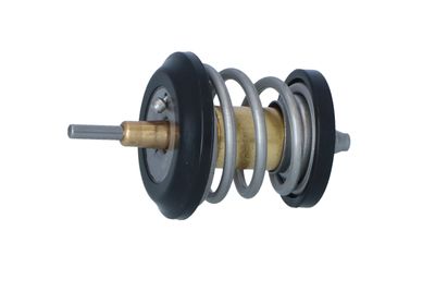 TERMOSTAT LICHID RACIRE NRF 725250 12