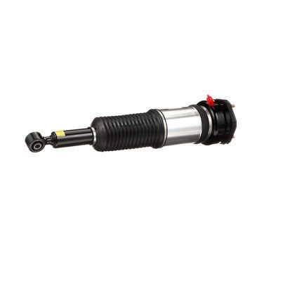 BRAT ARC PNEUMATIC Arnott AS3074 14