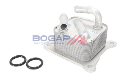 RADIATOR ULEI ULEI MOTOR BOGAP N4222101 3