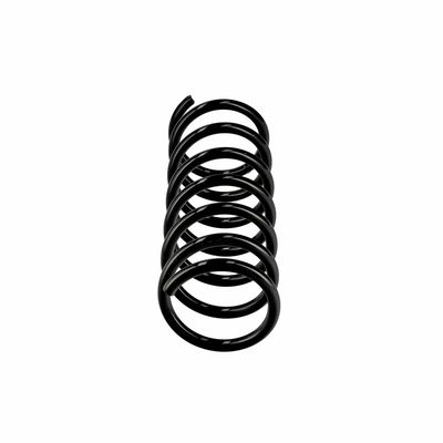 ARC SPIRAL EIBACH R10838 1