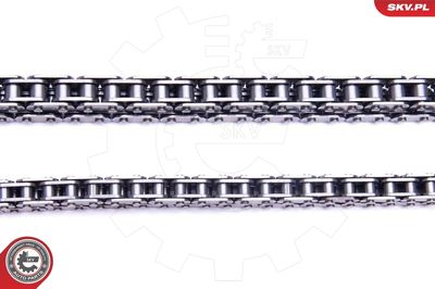 Timing Chain Kit 21SKV195