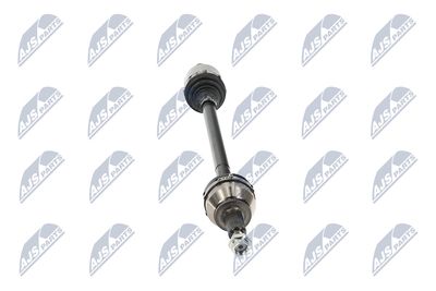 PLANETARA NTY NPWLR023 16