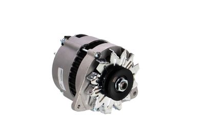 GENERATOR / ALTERNATOR REMANTE 011003000066R 49