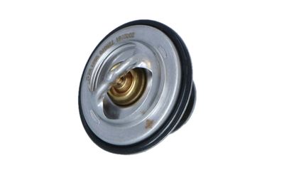 TERMOSTAT LICHID RACIRE NRF 725070 42