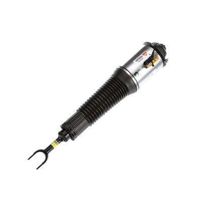 LUFTFEDERBEIN Arnott AS2560 73