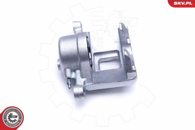 Brake Caliper 46SKV082