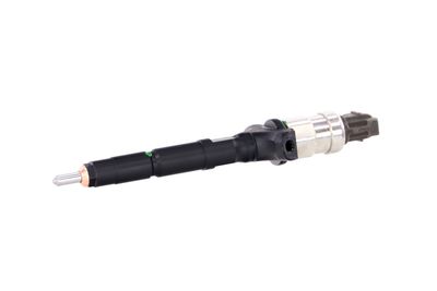 INJECTOR REMANTE 002003001953R 6