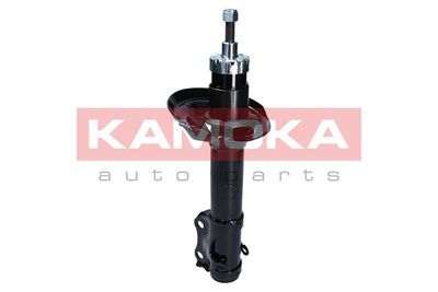 Shock Absorber 2001065