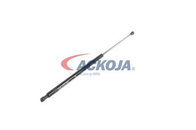 AMORTIZOR PORTBAGAJ ACKOJA A260085 55