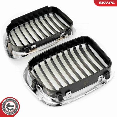 GRILA RADIATOR ESEN SKV 66SKV063 4