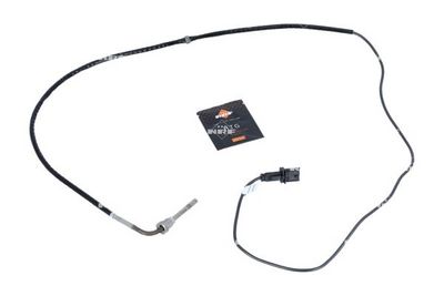 Sensor, Abgastemperatur
