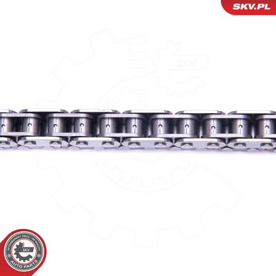 CHIT LANT DE DISTRIBUTIE ESEN SKV 21SKV164 1