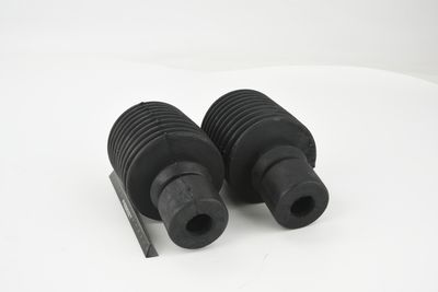 CHIT PROTECTIE PRAF AMORTIZOR FEBEST RNSHBFLUFKIT 12