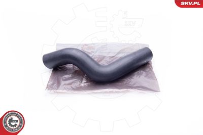 FURTUN EAR SUPRAALIMENTARE