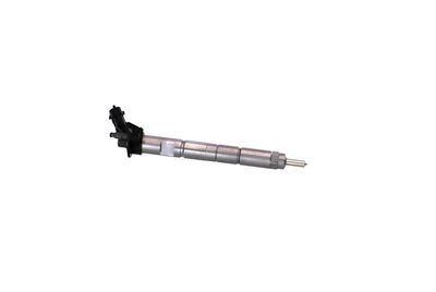 INJECTOR REMANTE 002003001368R 45