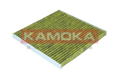 Filter, cabin air 6080010