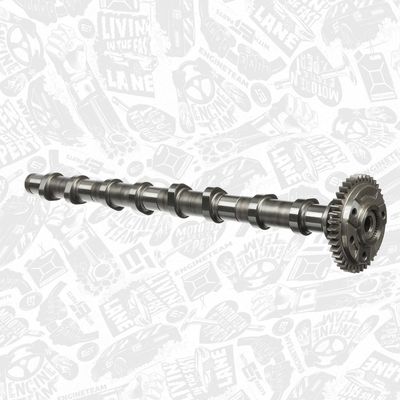 AX CU CAME ET ENGINETEAM HV0384 2