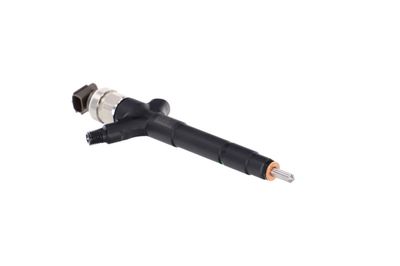 INJECTOR REMANTE 002003000085R 49
