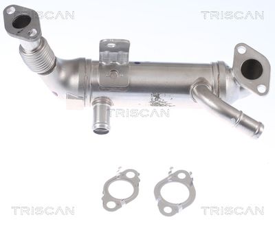 RADIATOR RECIRCULARE GAZE DE ESAPAMENT KAWE 881343106