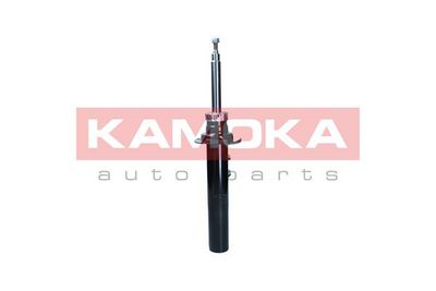 Shock Absorber 2001114