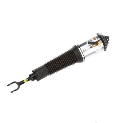 LUFTFEDERBEIN Arnott AS2562 74