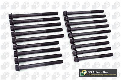 SET SURUB CHIULASA BGA BK6389