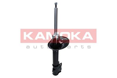 Shock Absorber 2000302