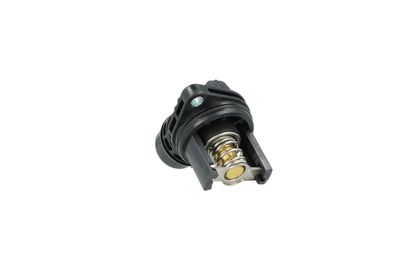 TERMOSTAT LICHID RACIRE NRF 725353 31