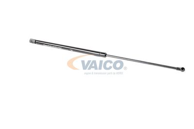 GASFEDER KOFFER-/LADERAUM VAICO V250232 16