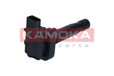Ignition Coil 7120091