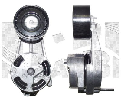 KM International FI22900 Натяжитель ремня генератора для BMW 1 (F21)