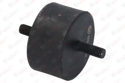 SUPORT MOTOR BIRTH 50556 2