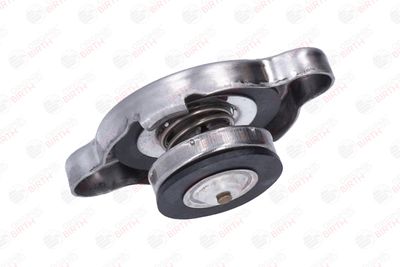 BUSON RADIATOR BIRTH 80429 6