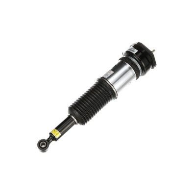 BRAT ARC PNEUMATIC Arnott AS3073 61