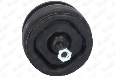 SUPORT MOTOR BIRTH 5527 1