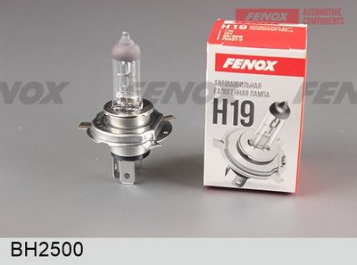 крушка с нагреваема жичка, главни фарове FENOX BH2500