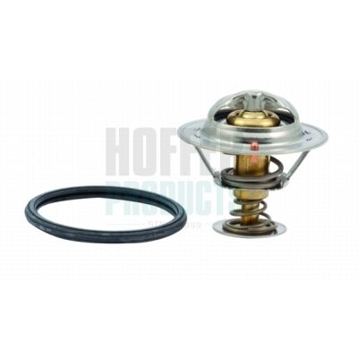 TERMOSTAT LICHID RACIRE