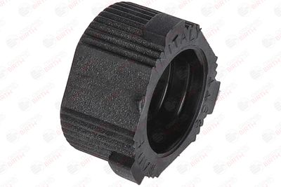 BUCSA ARBORE DE DIRECTIE BIRTH 4468 5