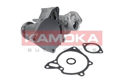 Water Pump, engine cooling T0162