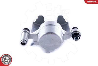 Brake Caliper 55SKV291