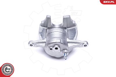 Brake Caliper 50SKV531