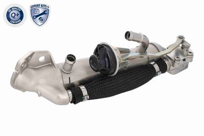 RADIATOR RECIRCULARE GAZE DE ESAPAMENT