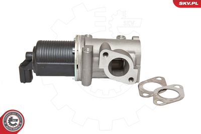 EGR Valve 14SKV076