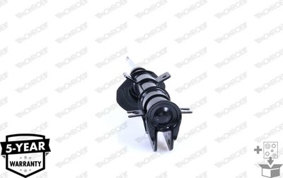 Shock Absorber 16455