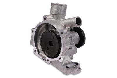 Water Pump, engine cooling P604