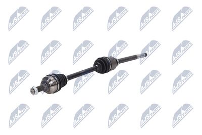 PLANETARA NTY NPWCT009 19